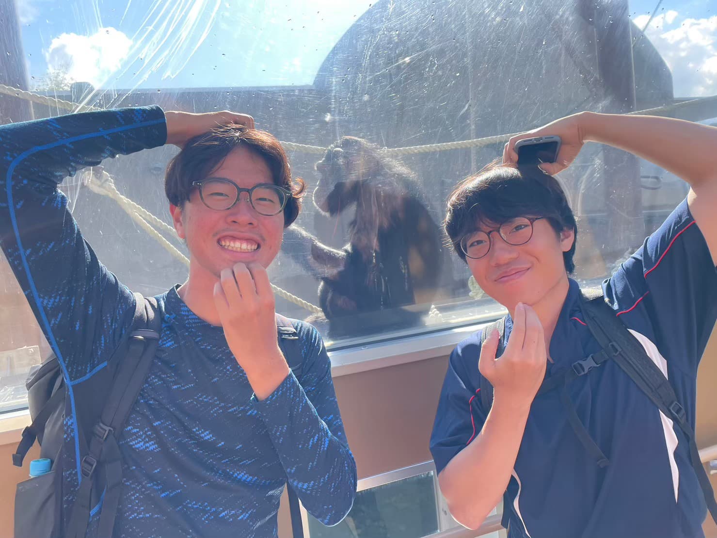 6日目の画像