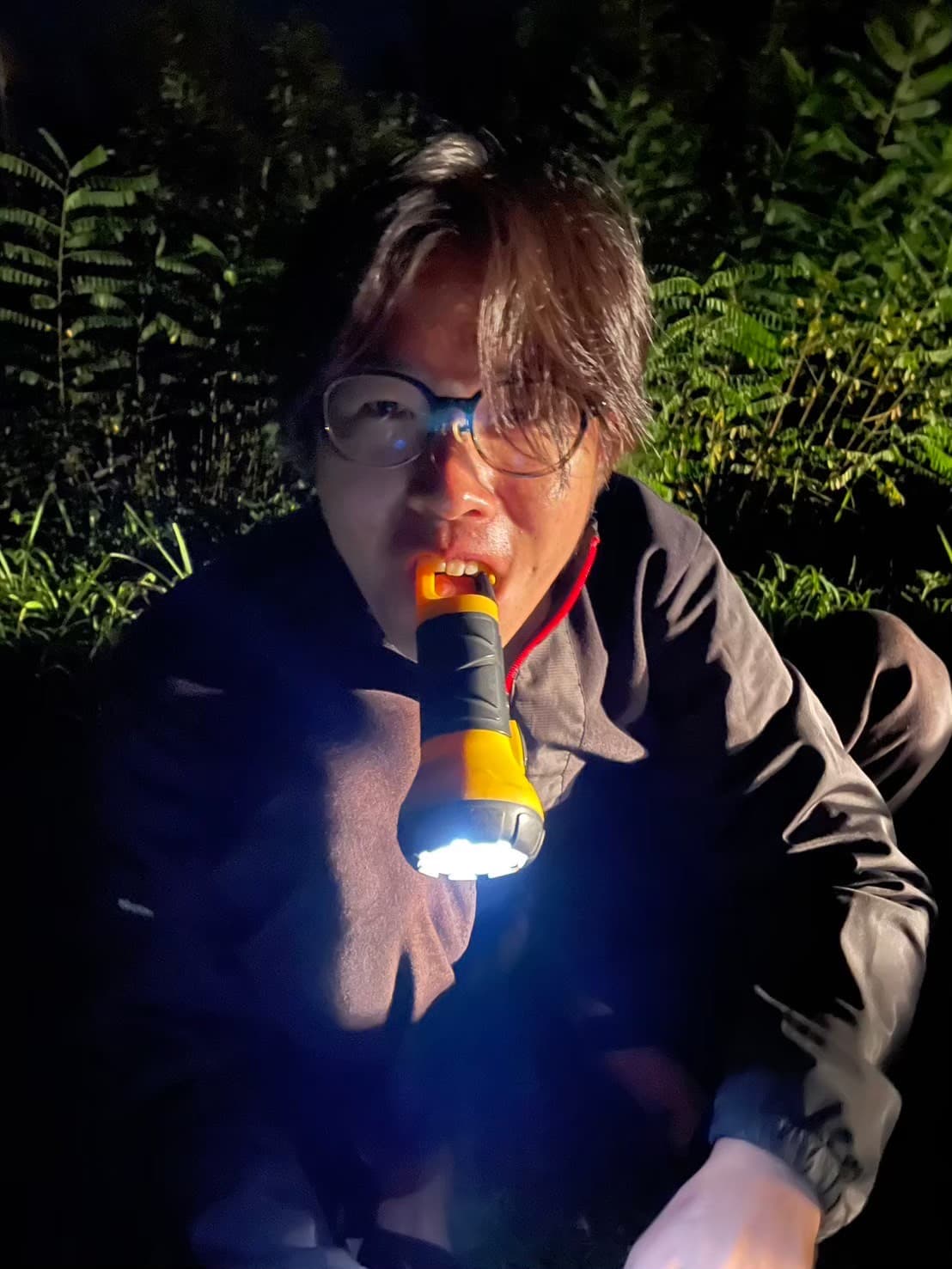 4日目の画像