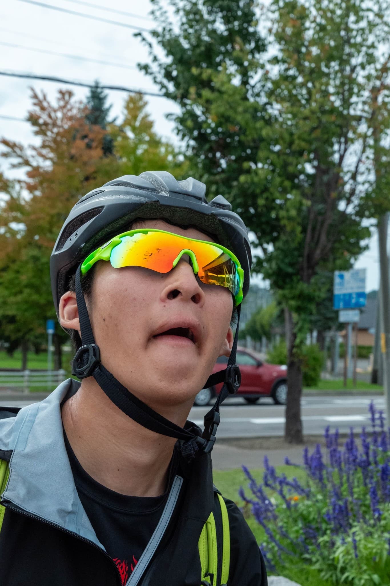 8日目の画像
