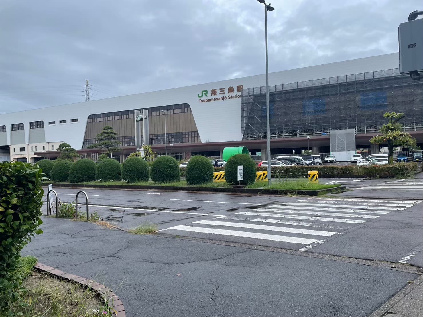 5日目の画像