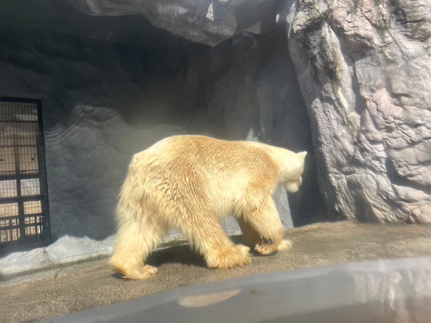 6日目の画像